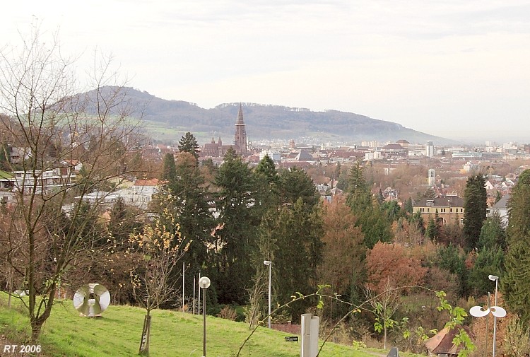 Blick vom Jägerhaus h