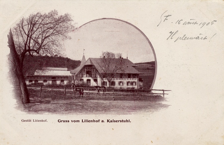 Lilienhof 05