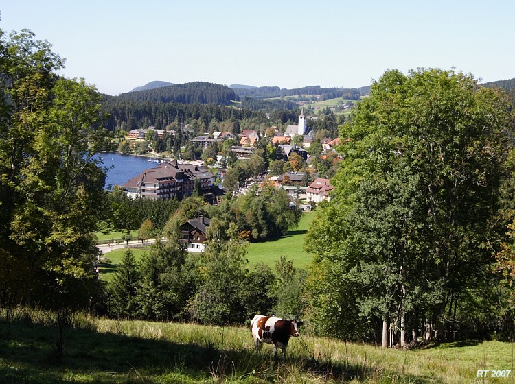 Titisee02h