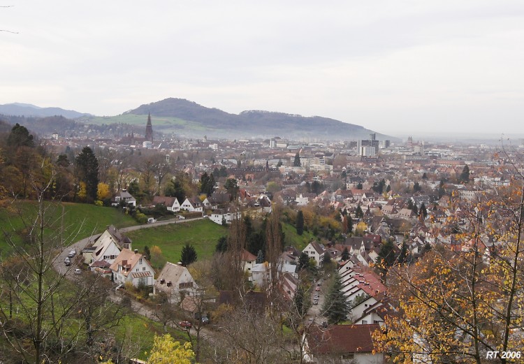 Blick über Herdern h