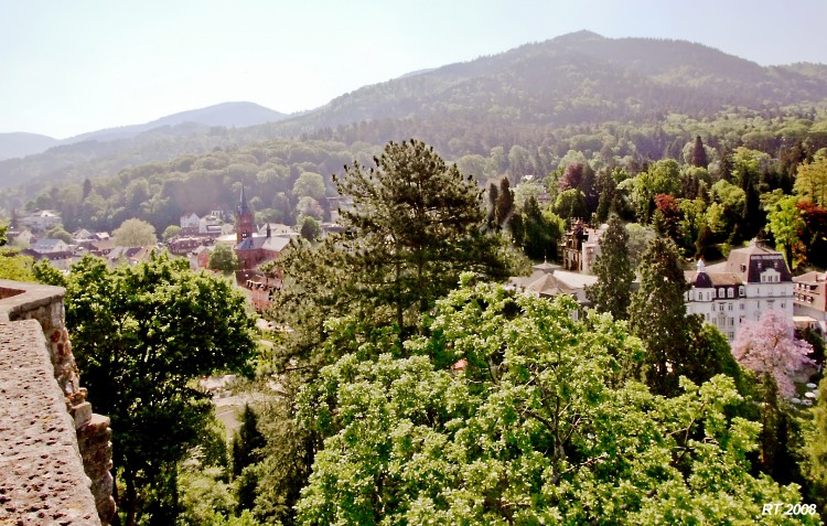 Bussemer Burgblick h