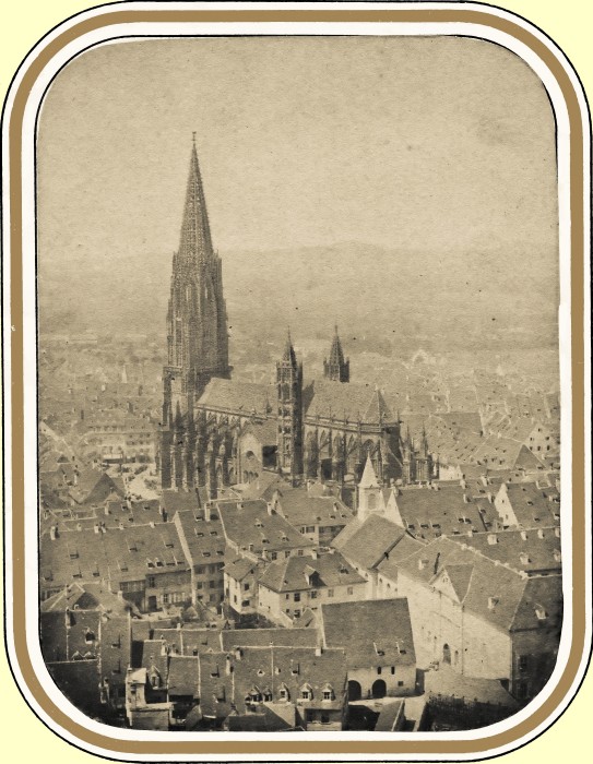 Hase Münster 02