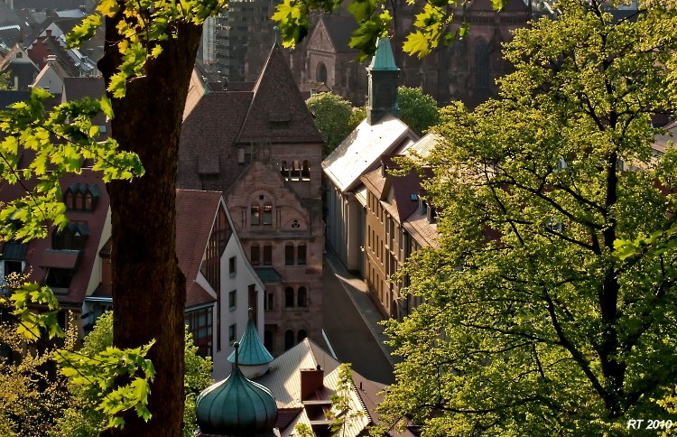 Münster vom Schlossberg h2