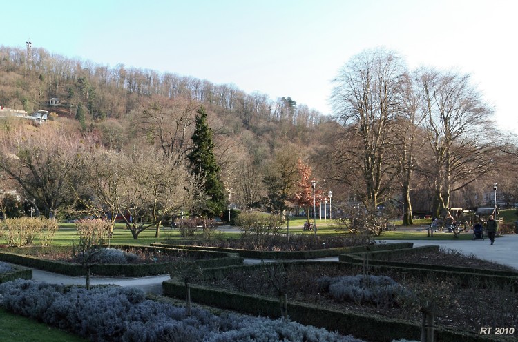 Stadtgarten 01 h