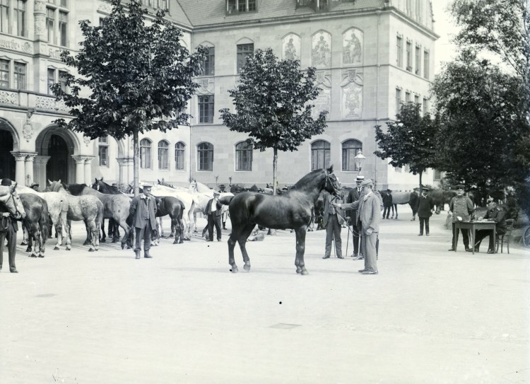 Pferdemarkt