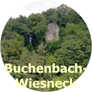 Wiesneck