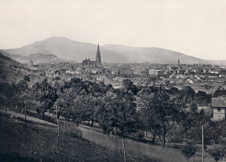 Blick vom Jägerhaus