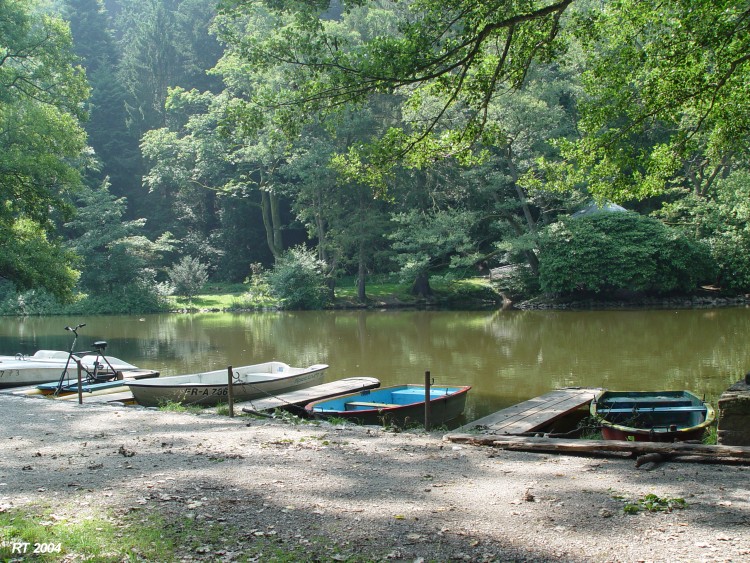 Waldsee h