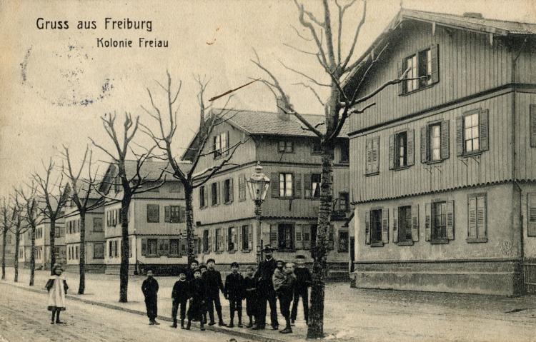 Freiaue