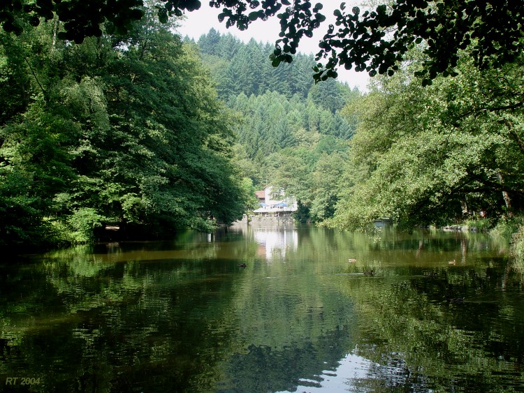 Waldsee h