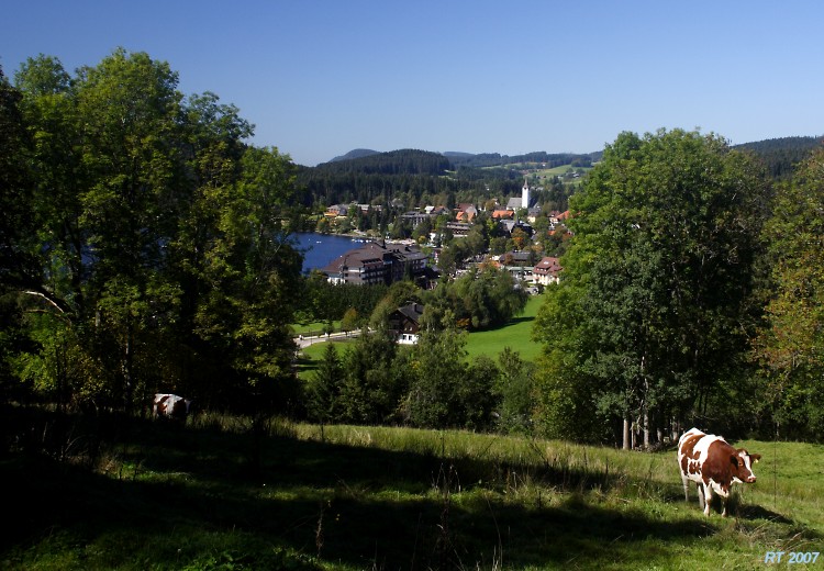 Biese Titisee 01h